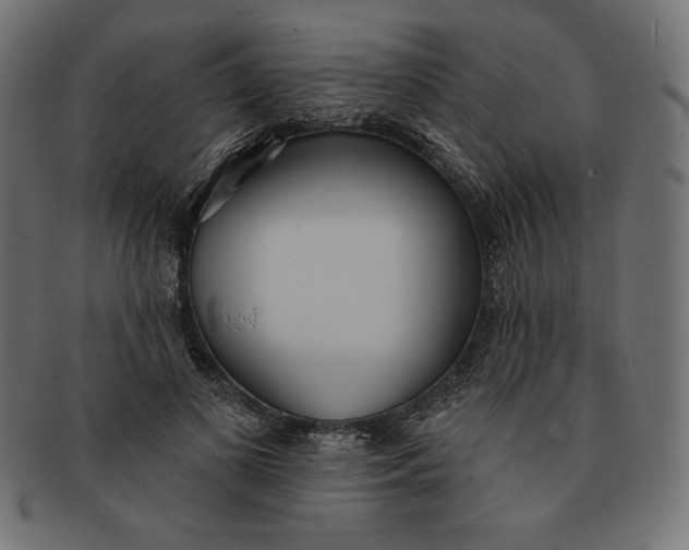 X0000091510693200709070954