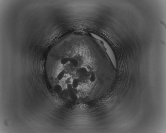 X0000091510695200709070954