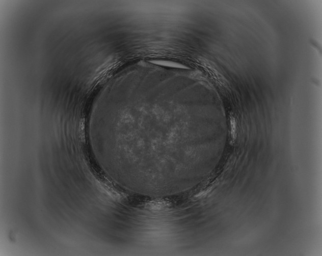 X0000091510696200709070954