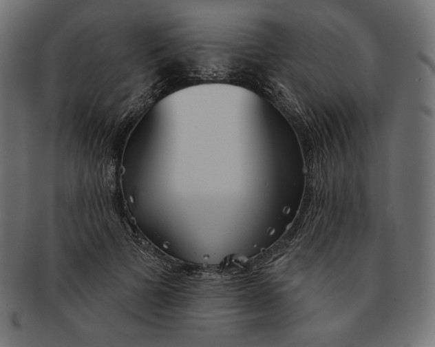 X0000091510697200709070954