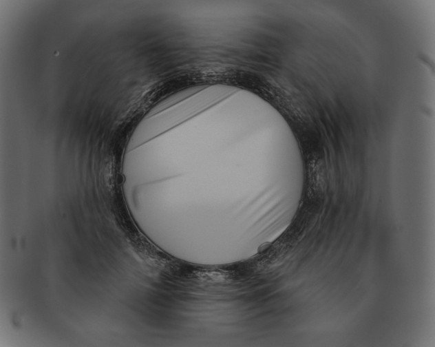 X0000091510698200709070954