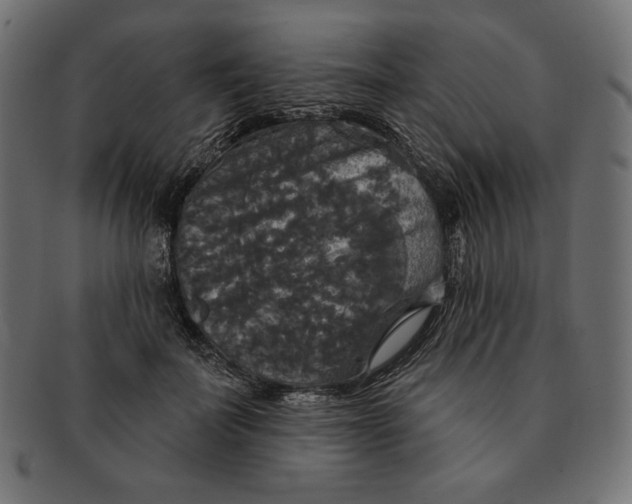 X0000091510699200709070954