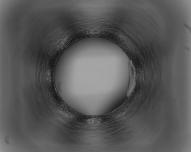 X0000091510700200709070954