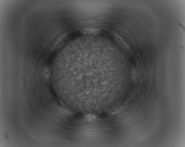 X0000091510701200709070954