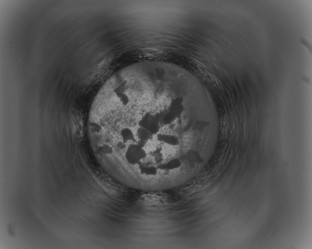 X0000091510703200709070954