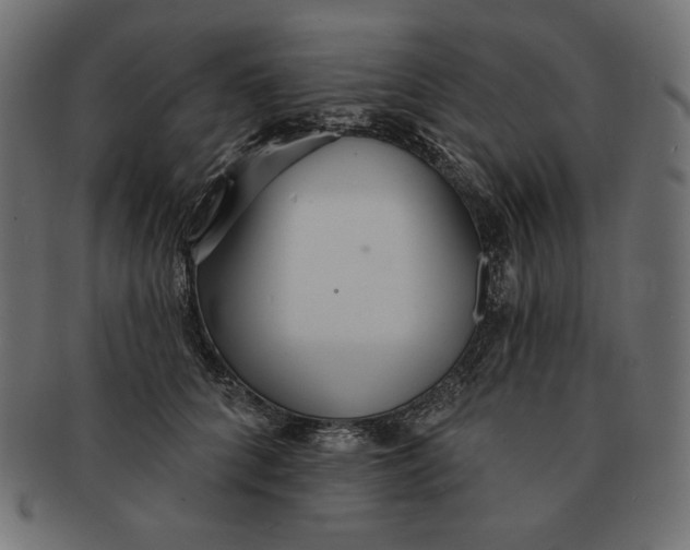 X0000091510704200709070954