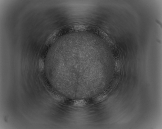 X0000091510705200709070954