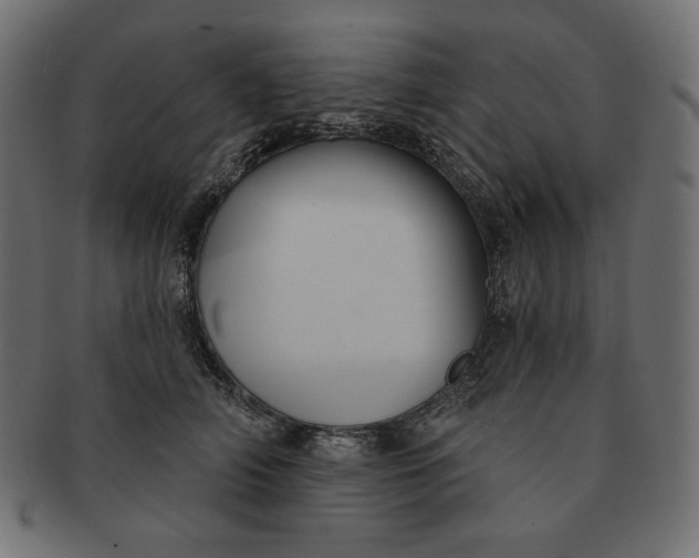 X0000091510706200709070954