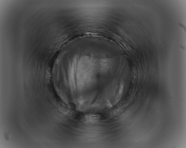 X0000091510707200709070954