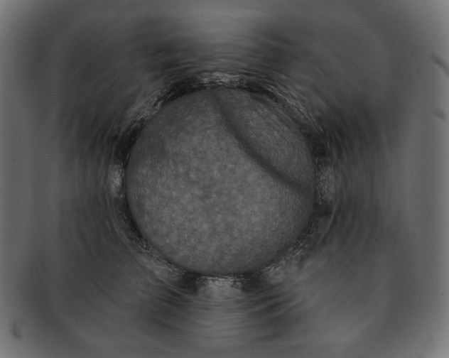 X0000091510709200709070954