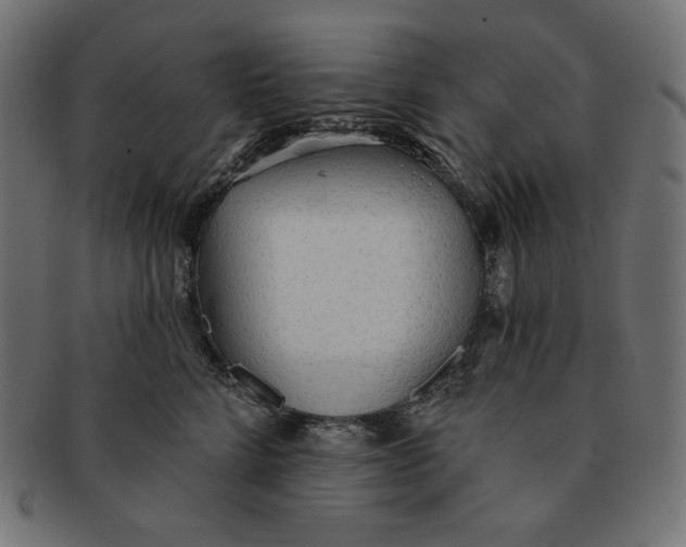 X0000091510712200709070954