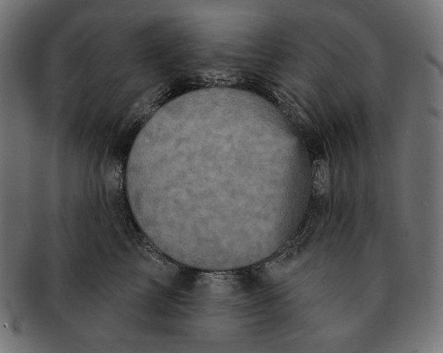 X0000091510713200709070954