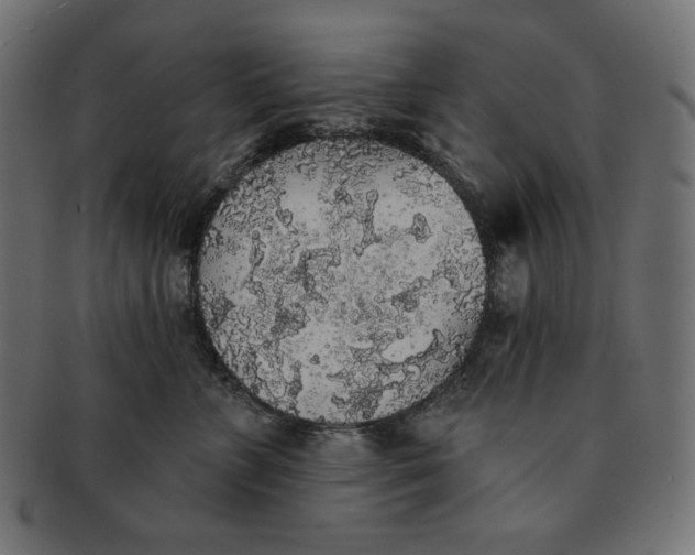 X0000091510715200709070953