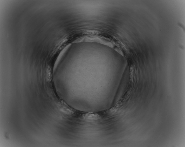 X0000091510716200709070953