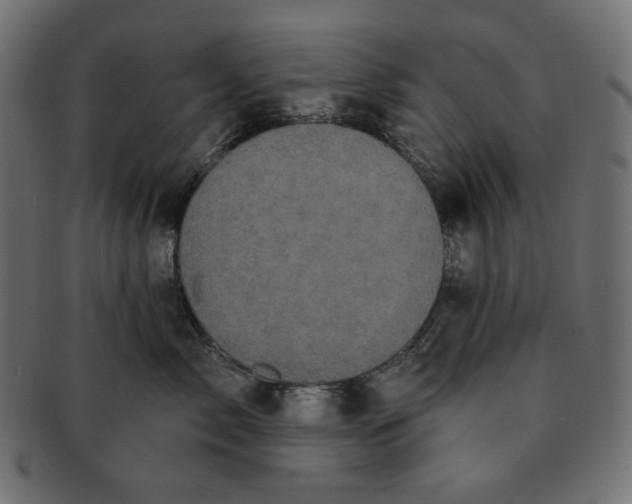 X0000091510717200709070953