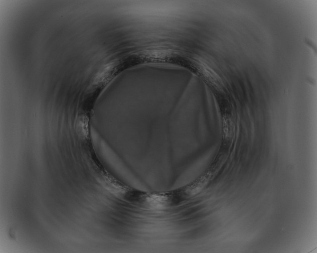 X0000091510718200709070953