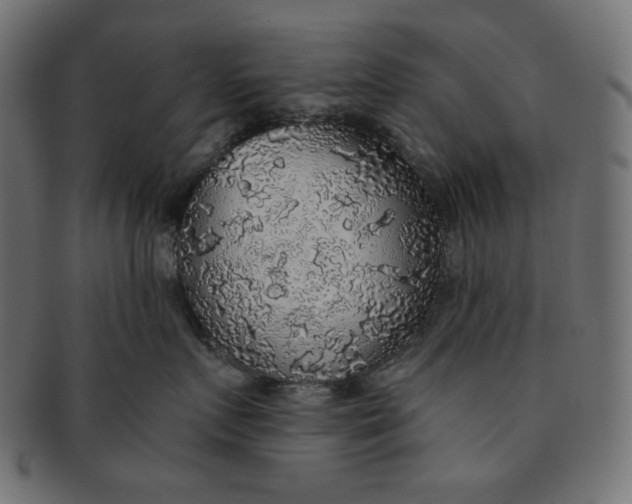 X0000091510719200709070953