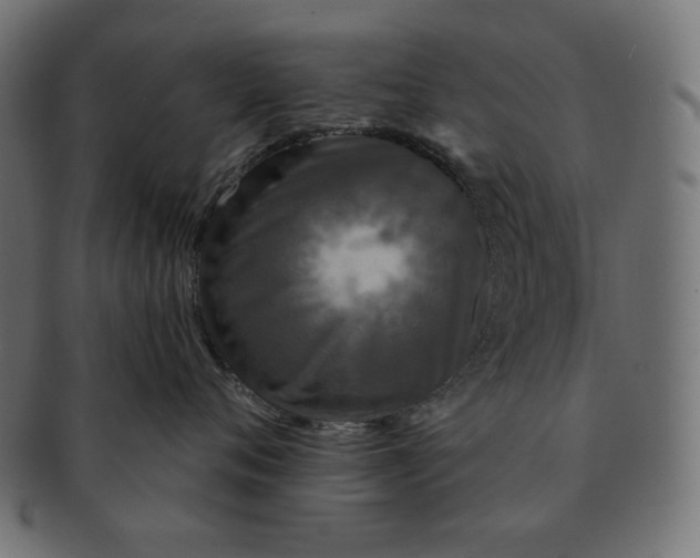 X0000091510720200709070953