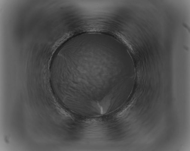 X0000091510721200709070953