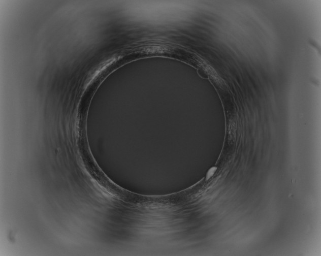 X0000091510722200709070953