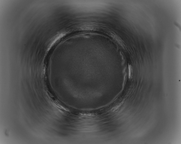 X0000091510723200709070953