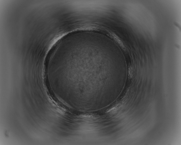 X0000091510724200709070953