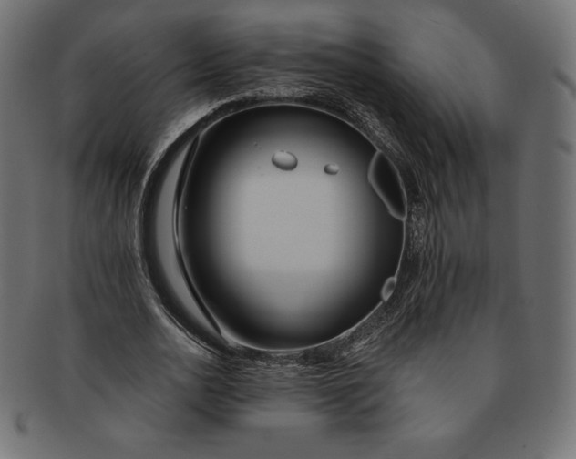 X0000091510726200709070953