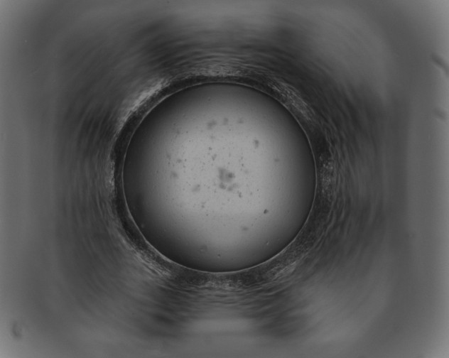 X0000091510727200709070953