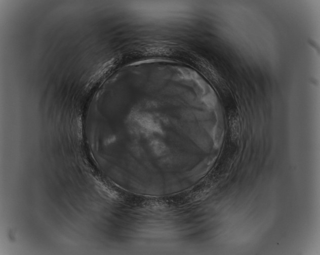 X0000091510729200709070953