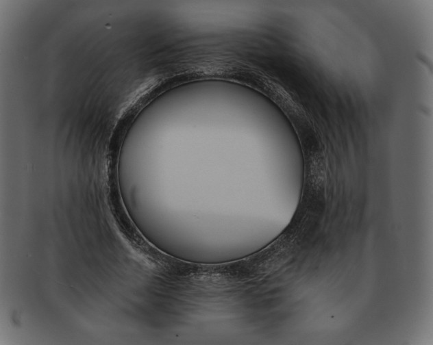 X0000091510730200709070953