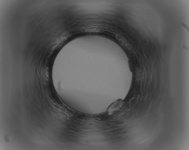 X0000091510731200709070953