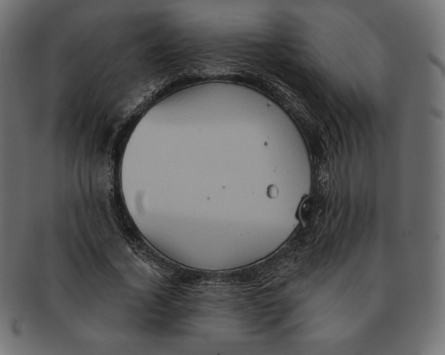 X0000091510732200709070953