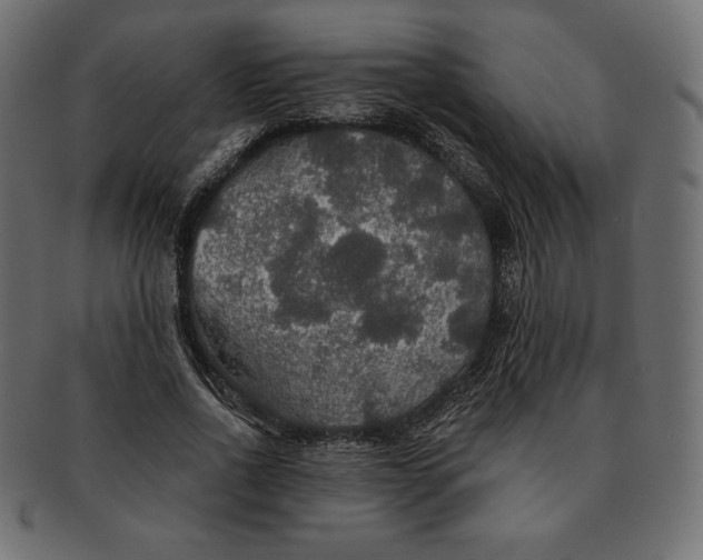 X0000091510734200709070953