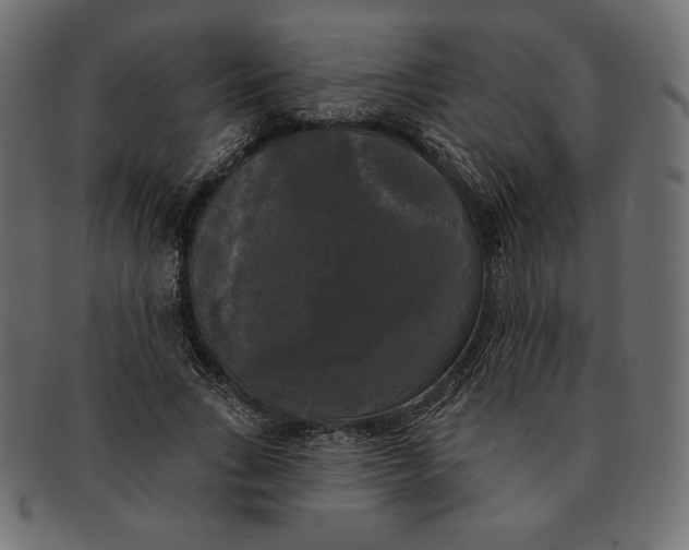 X0000091510735200709070953