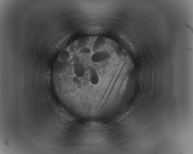 X0000091510737200709070953