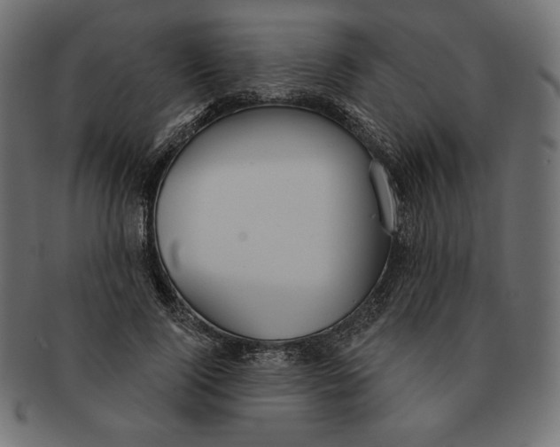 X0000091510740200709070953