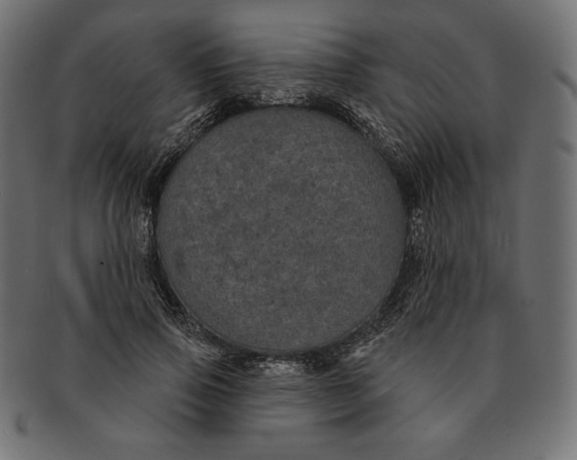 X0000091510741200709070953