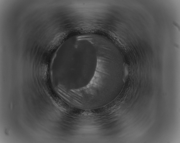 X0000091510742200709070953