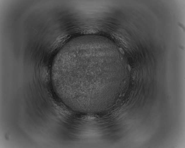 X0000091510743200709070953