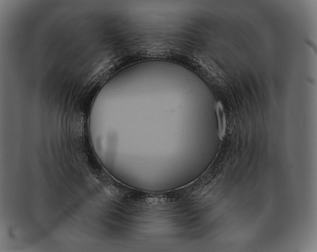 X0000091510744200709070953