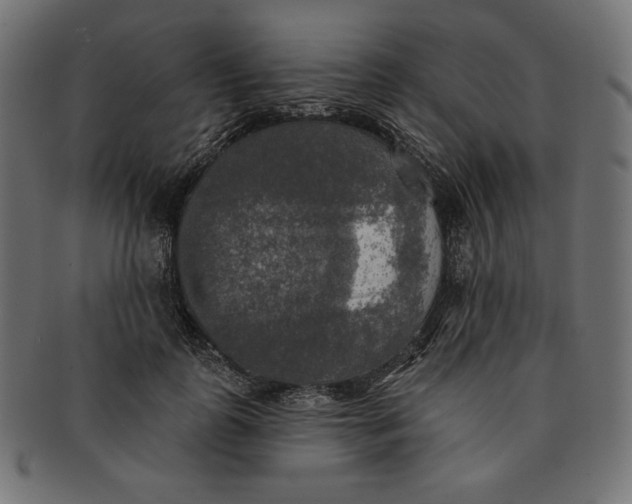 X0000091510747200709070953