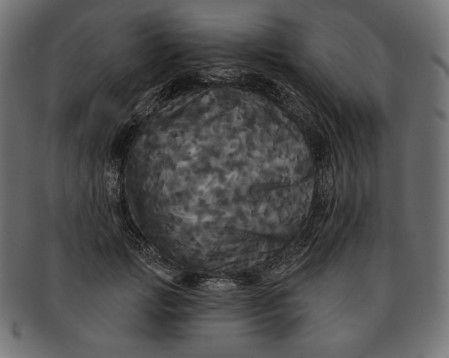 X0000091510749200709070953