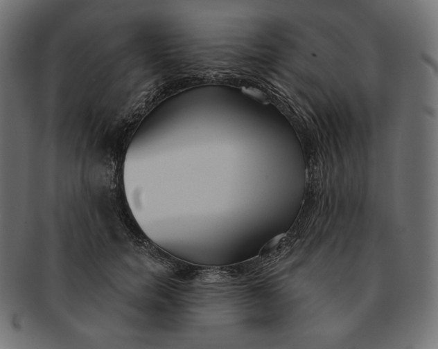 X0000091510750200709070953