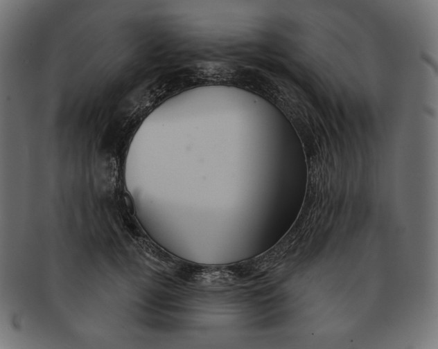 X0000091510752200709070953