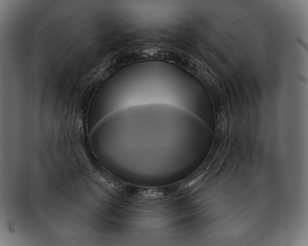 X0000091510754200709070953