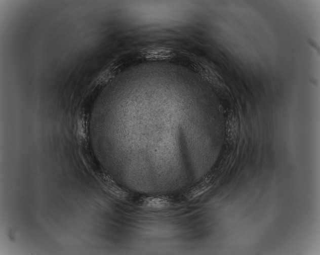 X0000091510755200709070953