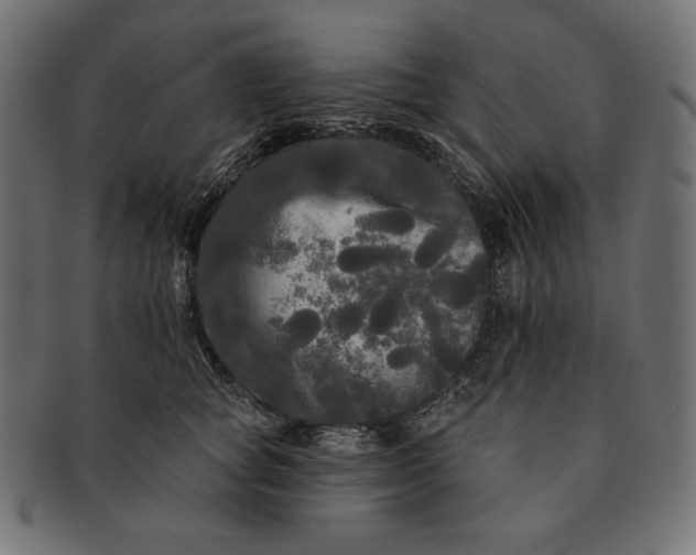 X0000091510757200709070953