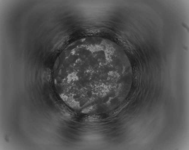 X0000091510758200709070953