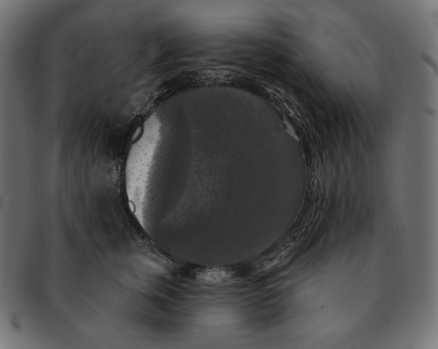 X0000091510759200709070953