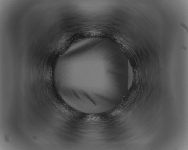 X0000091510760200709070953